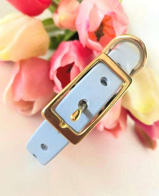 Biothane HalsbandBaby Blue mit goldener Schnalle – Handgemacht von BookishPaws