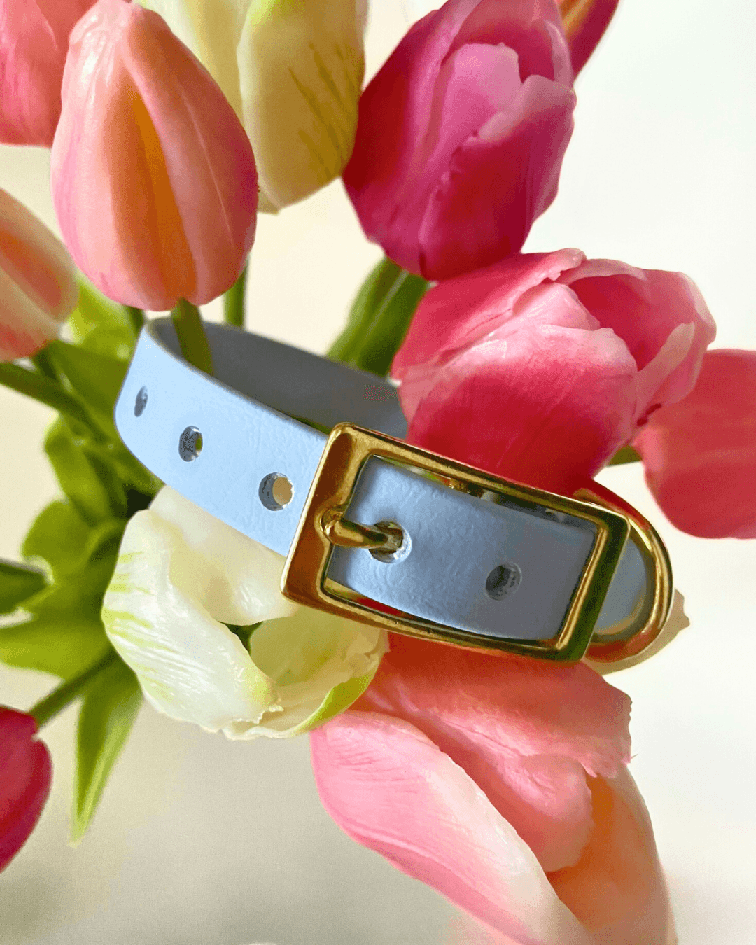 Biothane HalsbandBaby Blue mit goldener Schnalle – Handgemacht von BookishPaws