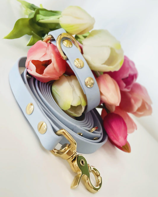 Biothane Leine Baby Blue mit goldenen Karabinern – Handgemacht von BookishPaws