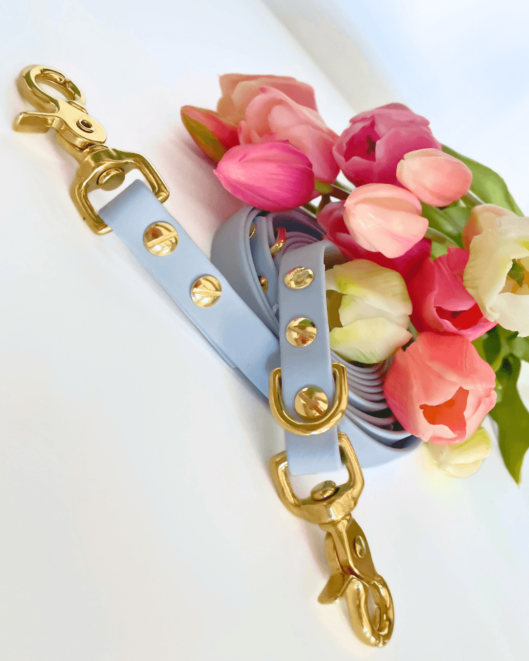 Biothane Leine Baby Blue mit goldenen Karabinern – Handgemacht von BookishPaws