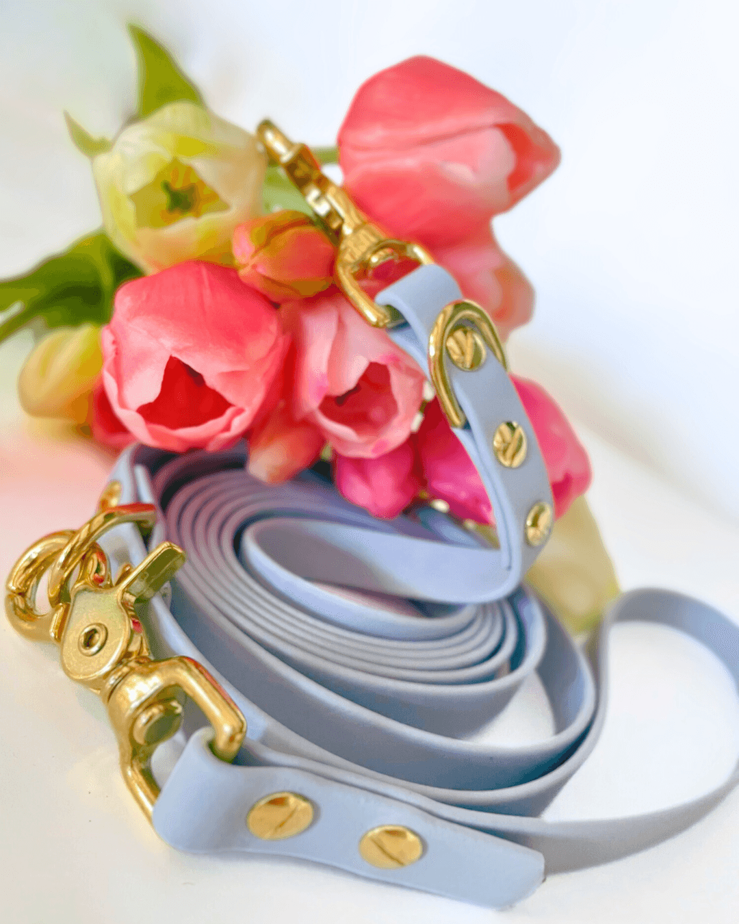 Biothane Leine Baby Blue mit goldenen Karabinern – Handgemacht von BookishPaws