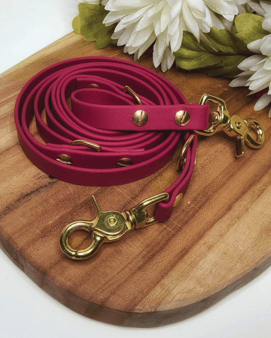 Biothane Leine Wine Red – Handgemacht von BookishPaws