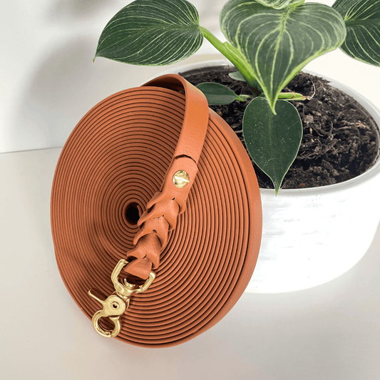 Biothane Schleppleine  Mocha Brown mit goldenen Karabinern – Handgemacht von BookishPaws