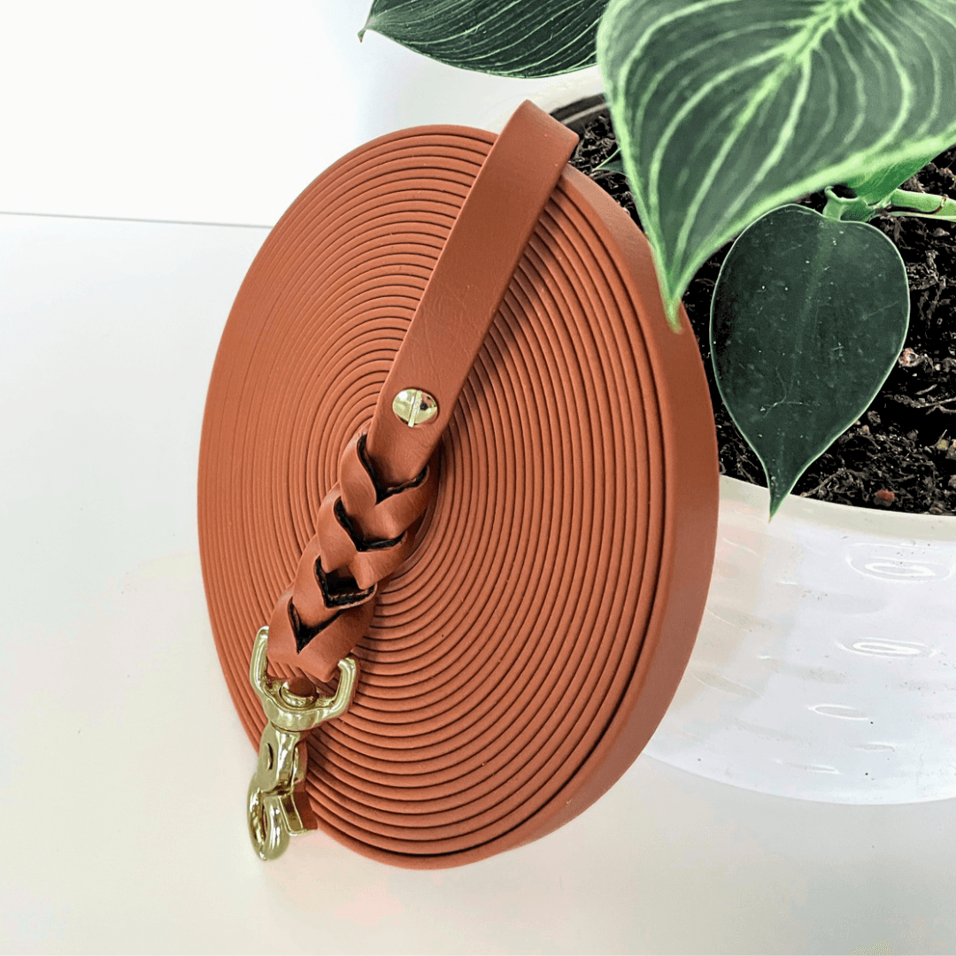 Biothane Schleppleine  Mocha Brown mit goldenen Karabinern – Handgemacht von BookishPaws
