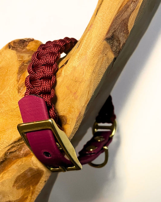 Handgefertigtes Classy Chick Hundehalsband aus robustem Paracord mit Biothane-Adapter und goldfarbener Schnalle, individuell wählbar in Wunschfarbe