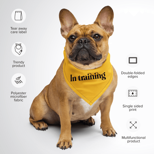 Hundehalstuch Training - Stilvolle Kennzeichnung für deinen Hund