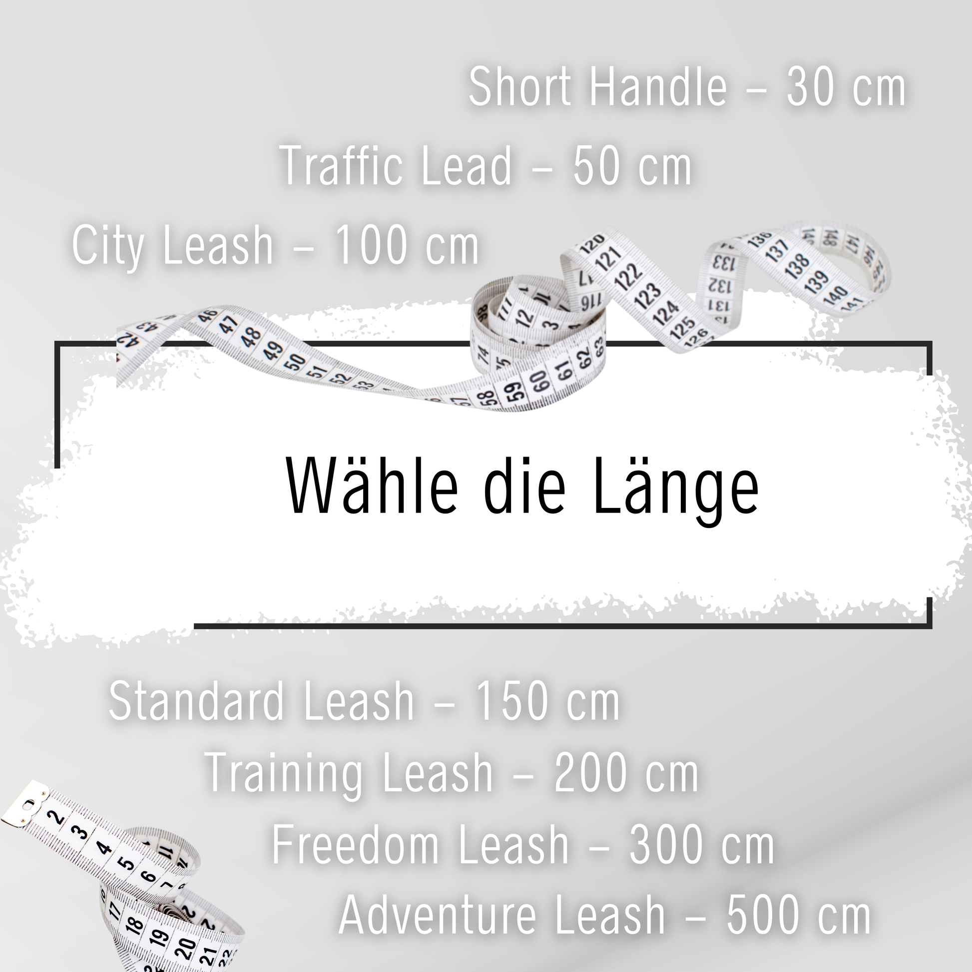 Individuell gestaltbare Biothane-Hundeleine in Wunschfarbe und Wunschlänge mit hochwertiger Hardware – wetterfest, langlebig und perfekt für jeden Spaziergang.