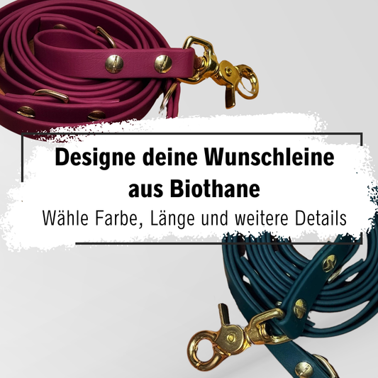 Individuell gestaltbare Biothane-Hundeleine in Wunschfarbe und Wunschlänge mit hochwertiger Hardware – wetterfest, langlebig und perfekt für jeden Spaziergang.