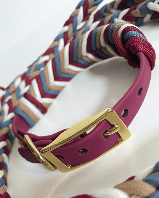 Geflochtenes Hundehalsband mit Biothane in rot, blau, beige
