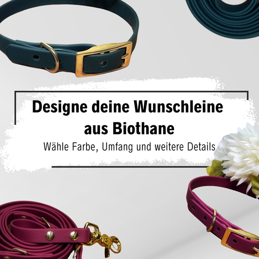 Individuell gestaltbares Biothane-Hundehalsband mit hochwertiger Hardware – robust, wasserfest und perfekt für stilvolle Alltagsabenteuer.